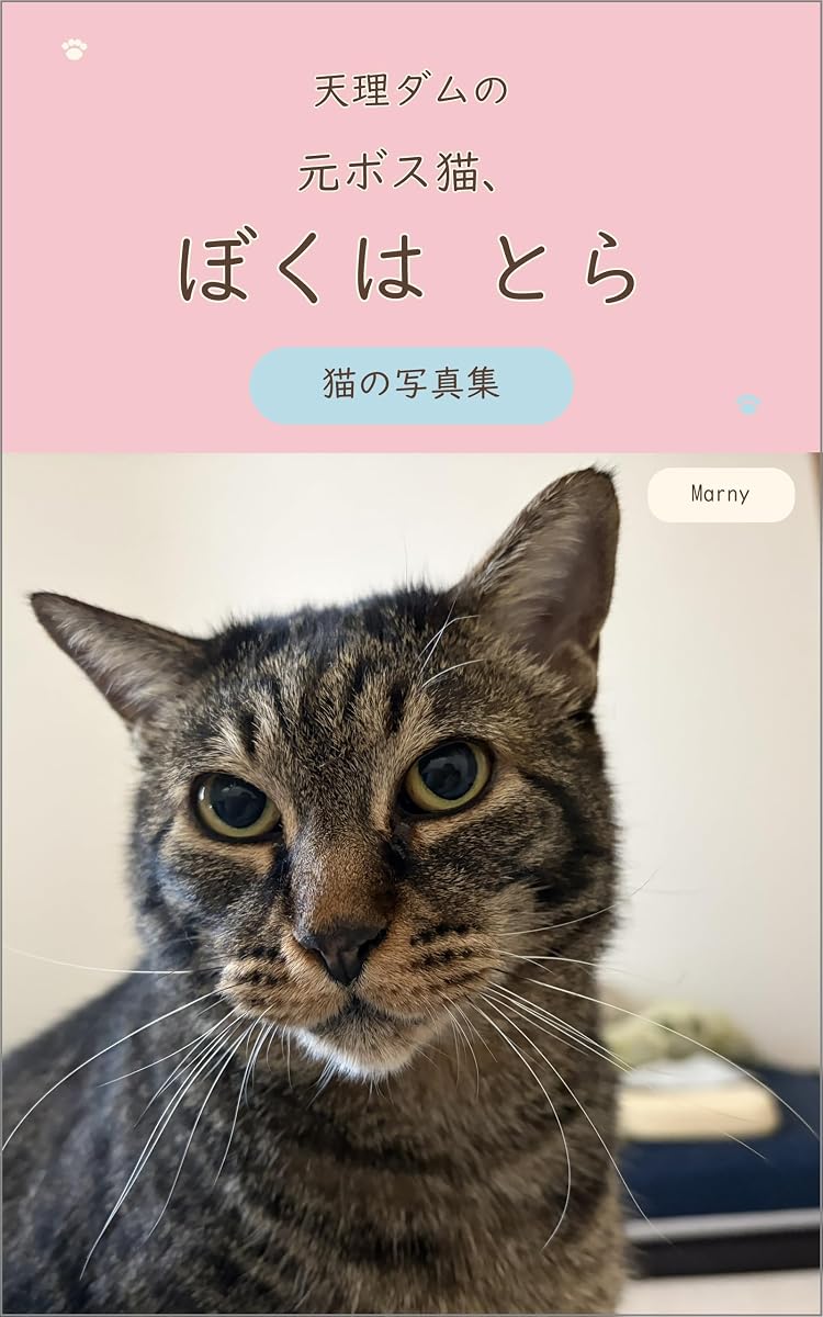 『天理ダムの元ボス猫、ぼくはとら』の表紙
